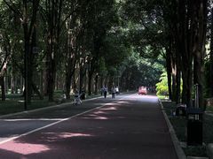 -南宁南湖公园