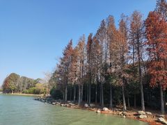 -长广溪湿地公园