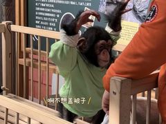 -深圳野生动物园