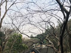 -雨花胜境