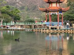 -靖西鹅泉风景区