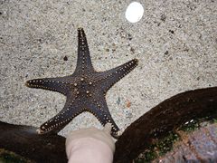 -长沙海底世界