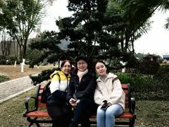 -铁山坪森林公园