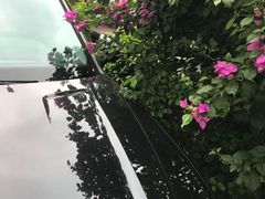 -汕尾巴黎半岛酒店