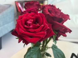 -丽美妍医疗美容·皮秒·立体分层抗衰