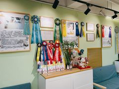 -猫十亿·布偶金渐层·曼基康矮脚猫舍(青年路店)
