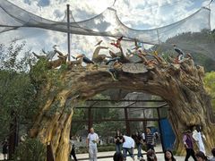 -大连森林动物园