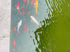 -海天楼中餐厅(吴宫泛太平洋酒店)