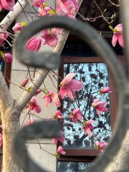 -北京大学第一医院妇产儿童医院