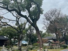 -杭州西湖柳莺里酒店