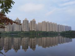 -成都南湖公园