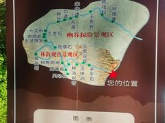 -汤旺河林海奇石景区