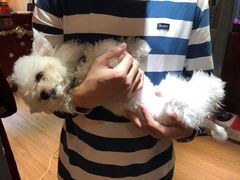 -伽利略剧本探案馆(国贸店)