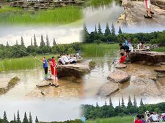 -苏州太湖国家湿地公园