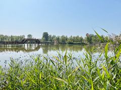 -野鸭湖国家湿地公园