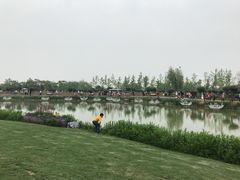 -荷兰花海