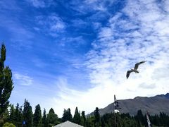 -Patagonia Chocolates(皇后镇店)