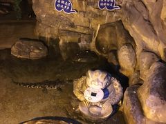 -蓬莱欧乐堡梦幻世界