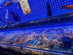 -五月罗马海鲜烤肉自助餐厅(印象城店)