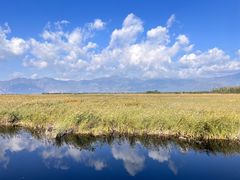 -野鸭湖国家湿地公园