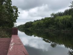 -黄海国家森林公园