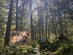 -汤旺河林海奇石景区