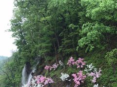 -参仙谷生态旅游度假区
