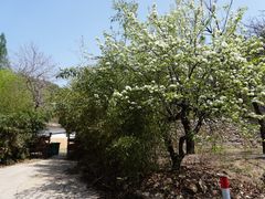 -昆嵛山石门里景区