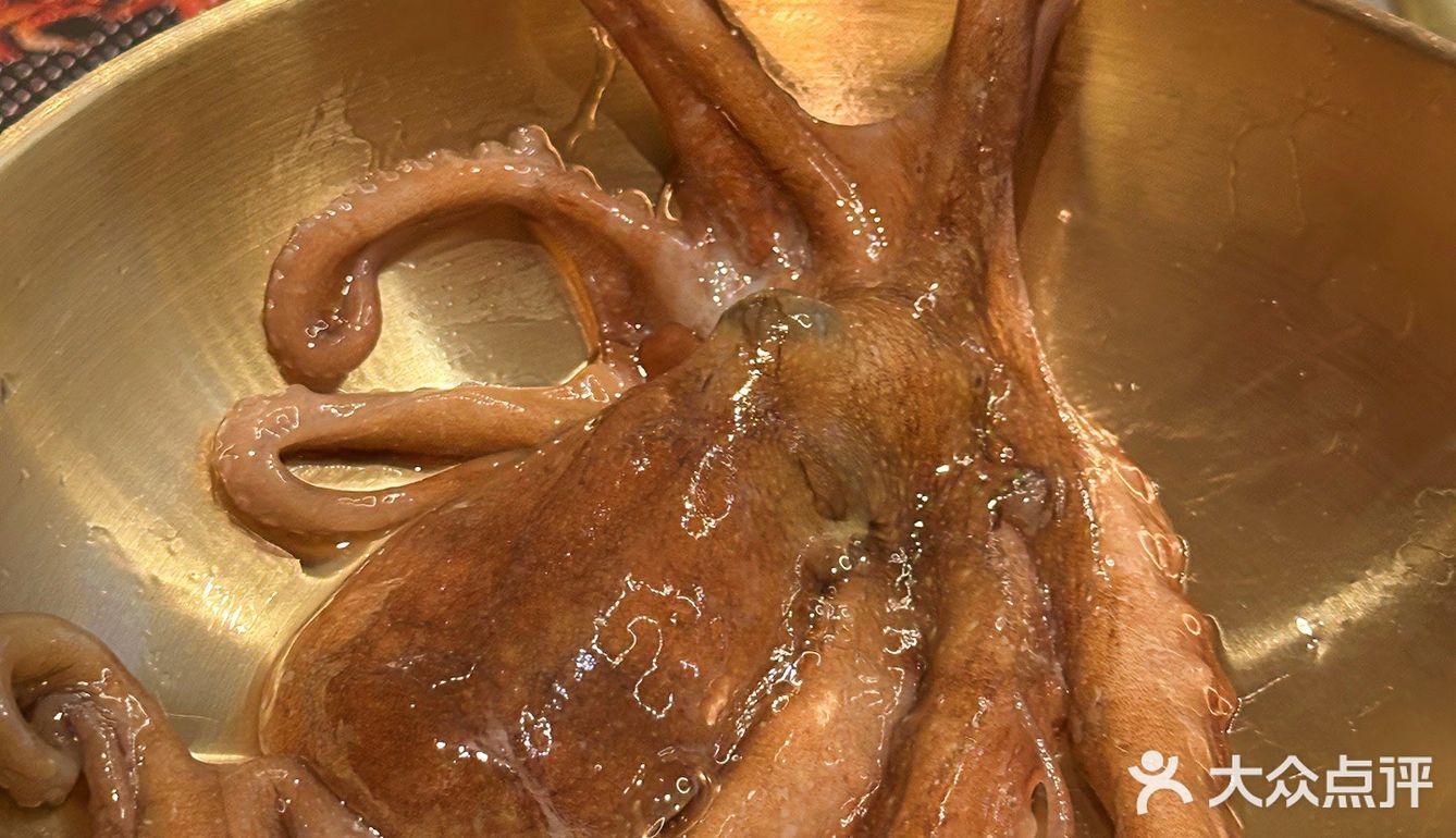 又是长见识的一顿！！现点现🔪的烤活鳗...