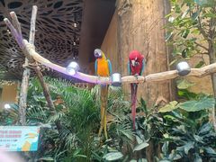 -杭州开元森泊度假乐园