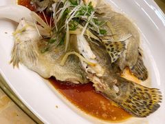 清蒸桂花鱼-心点盛宴江南西店