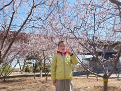 -永定河休闲森林公园