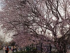 -北京奥林匹克公园