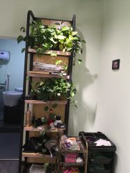 -初心HAlRSALON烫染接发