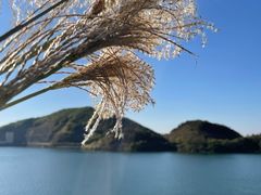 -长沙黑麋峰国家森林公园