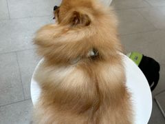 -comecome来吧宠物(奥克斯中心店)