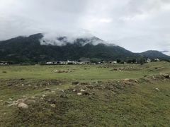 -罗坑大草原