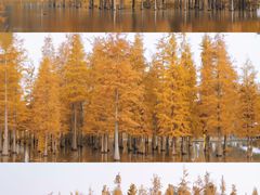 -白鹭湾湿地公园