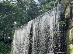 -吉隆坡雀鸟公园
