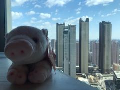 -君悦酒店·乐厨·高空自助餐(青年大街店)