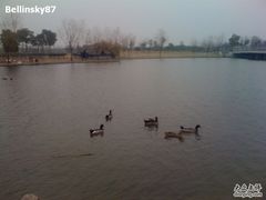 -同济大学(嘉定校区)