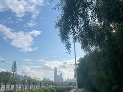 -深圳湾公园(南山区)