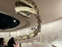 -自贡恐龙博物馆