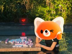 -天目湖御水温泉·度假酒店