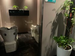 -史云逊养发护发