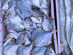 -芦潮港集贸市场