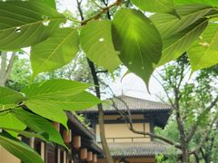 -东湖磨山景区