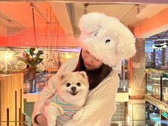 -The Rug(三里屯店)