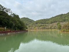 -广州白江湖森林公园