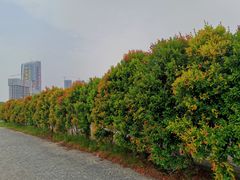 -南沙游艇会·大兵船餐厅